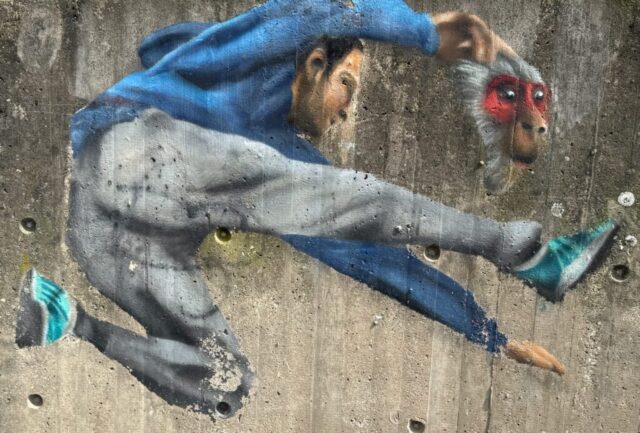 Raschplatz 1 © Reinhold