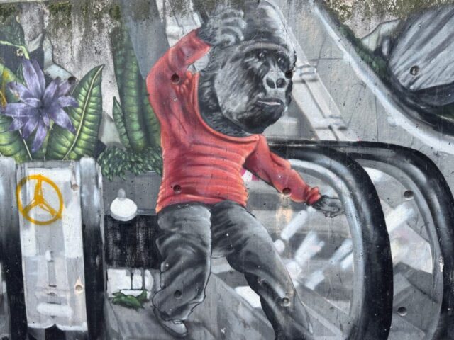 Raschplatz 2 © Reinhold