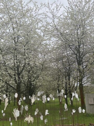 Hiroshima-Gedenkhain © Reinhold